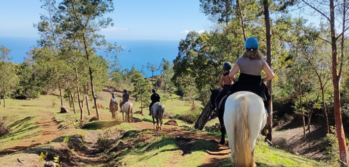 Randonnée à cheval sur l’île de La Réunion - Caval&go