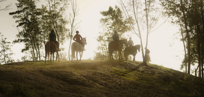 Randonnée et activités équestres à La Réunion - Caval&go