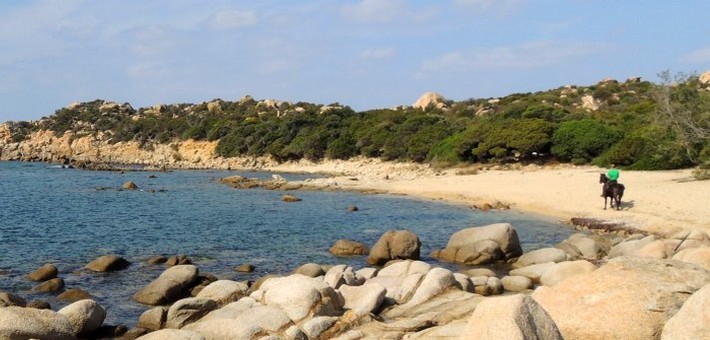 Randonnée équestre à la découverte de Bonifacio entre maquis et plages - Caval&go