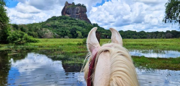 Randonnée équestre au Sri Lanka, la perle de l