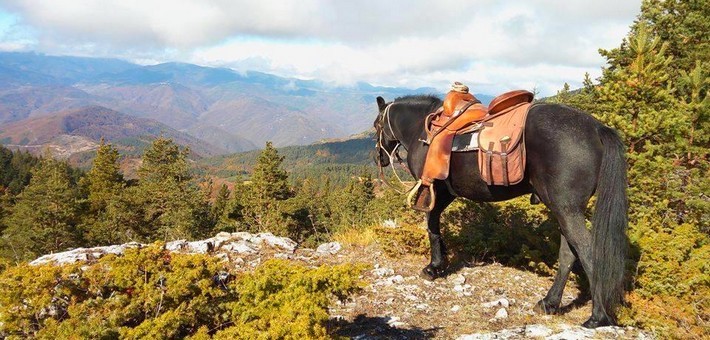 Randonnée à cheval dans les montagnes de Bulgarie