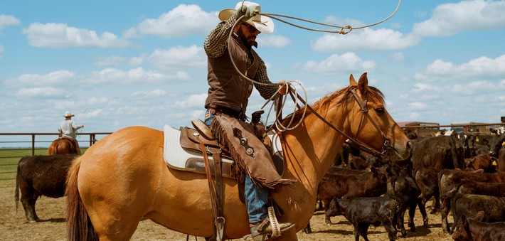 Séjour cowboy au Wyoming : round-up d