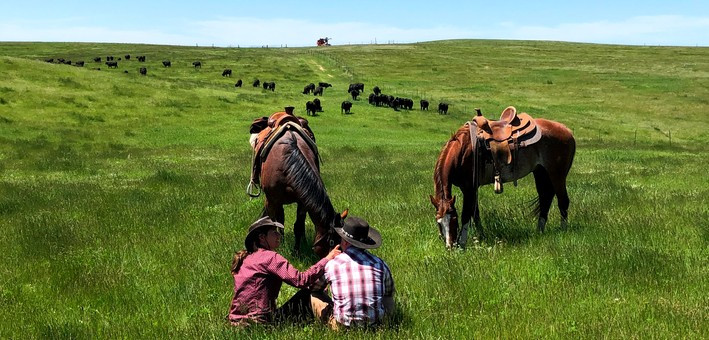 Séjour cowboy au Wyoming : round-up d