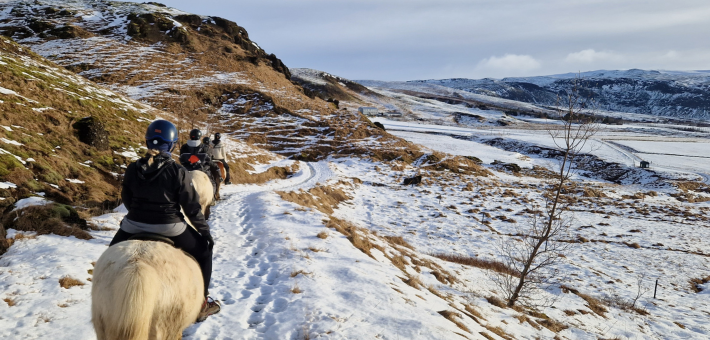 Séjour équestre hivernale et découverte du sud de l’Islande accompagné par Mathilde & Sligo - Caval&go