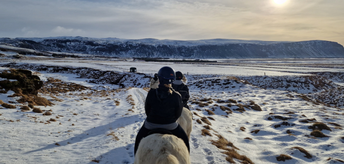 Séjour équestre hivernale et découverte du sud de l’Islande accompagné par Mathilde & Sligo - Caval&go