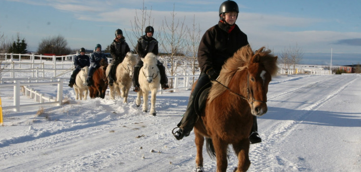 Séjour équestre hivernale et découverte du sud de l’Islande accompagné par Mathilde & Sligo - Caval&go