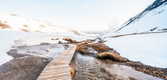Séjour équestre hivernale et découverte du sud de l’Islande accompagné par Mathilde & Sligo - Caval&go