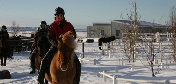 Séjour équestre hivernale et découverte du sud de l’Islande accompagné par Mathilde & Sligo - Caval&go