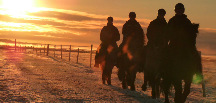 Séjour équestre hivernale et découverte du sud de l’Islande accompagné par Mathilde & Sligo - Caval&go