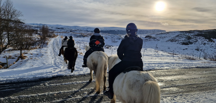 Séjour équestre hivernale et découverte du sud de l’Islande accompagné par Mathilde & Sligo - Caval&go