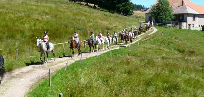 Séjour équestre jeunes pour les 9/17ans cheval et sport - Caval&go