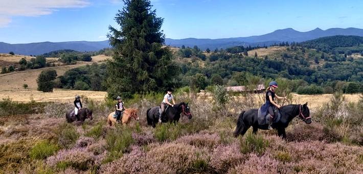 Séjour équestre jeunes pour les 6/17ans cheval et nature en Alsace