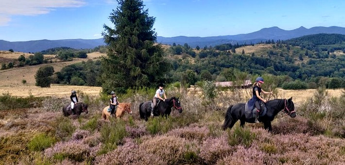 Séjour équestre jeunes pour les 9/17ans cheval et sport - Caval&go