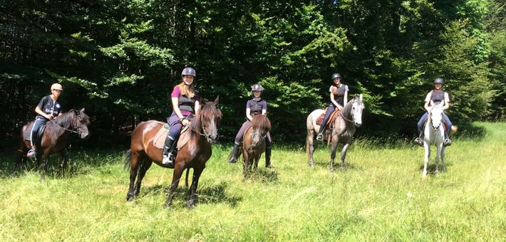 Séjour équestre jeunes pour les 9/17ans cheval et sport - Caval&go