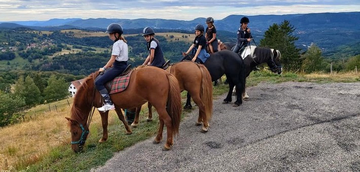 Séjour équestre jeunes pour les 9/17ans cheval et sport - Caval&go