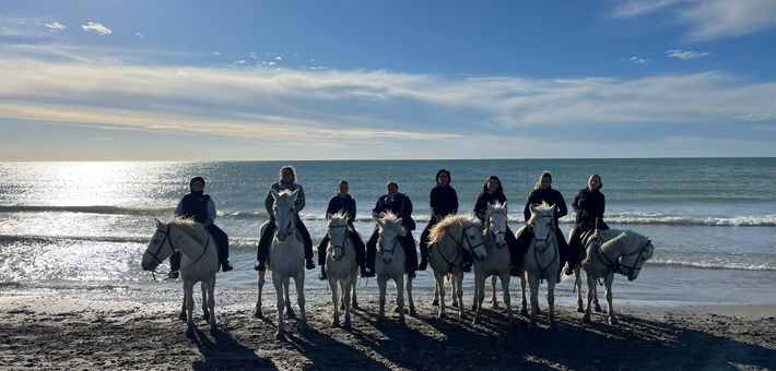 Séjour immersif en Camargue entre tri de bétail et traditions - Caval&go