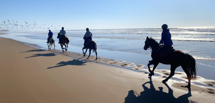 Séjour relation au Cheval, bien-être et yoga sur la côte marocaine - Caval&go