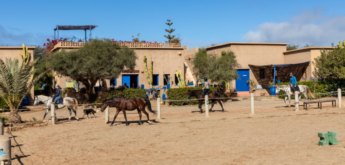 Séjour bien-être, multi-activités et relation au Cheval sur la côte marocaine - Caval&go
