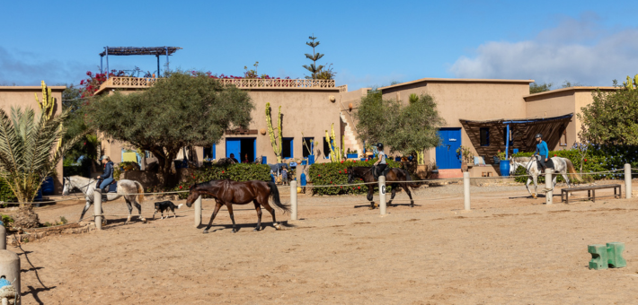 Séjour relation au Cheval, bien-être et yoga sur la côte marocaine - Caval&go