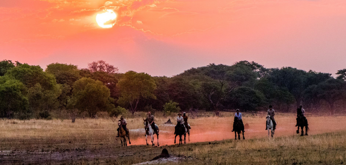 Safari exploration du Hwange National Park au Zimbabwe - Caval&go