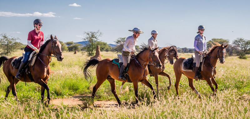 Safari à cheval en Namibie sur des pur-sang arabes - Caval&go