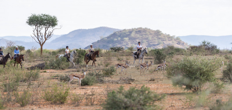 Safari à cheval en Namibie sur des pur-sang arabes - Caval&go