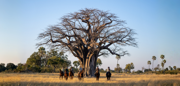 Safari à cheval au Botswana