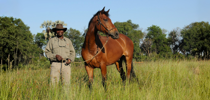 Safari à cheval dans l’Okavango au Botswana