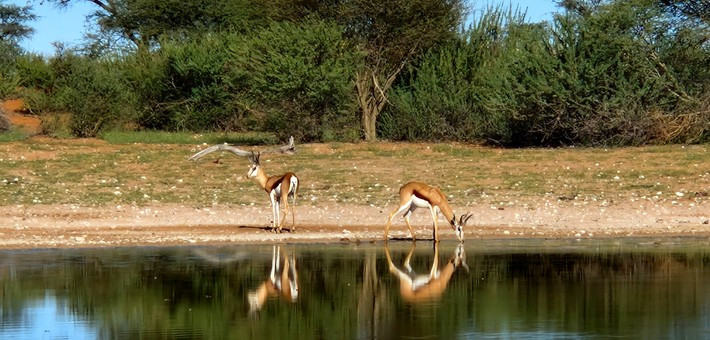 Safari équestre et multi-activités en Namibie aux portes du Kalahari - Caval&go