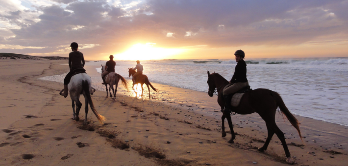 Séjour en conscience avec le cheval : yogathérapie, méditation, ayurveda et équitation respectueuse - Caval&go