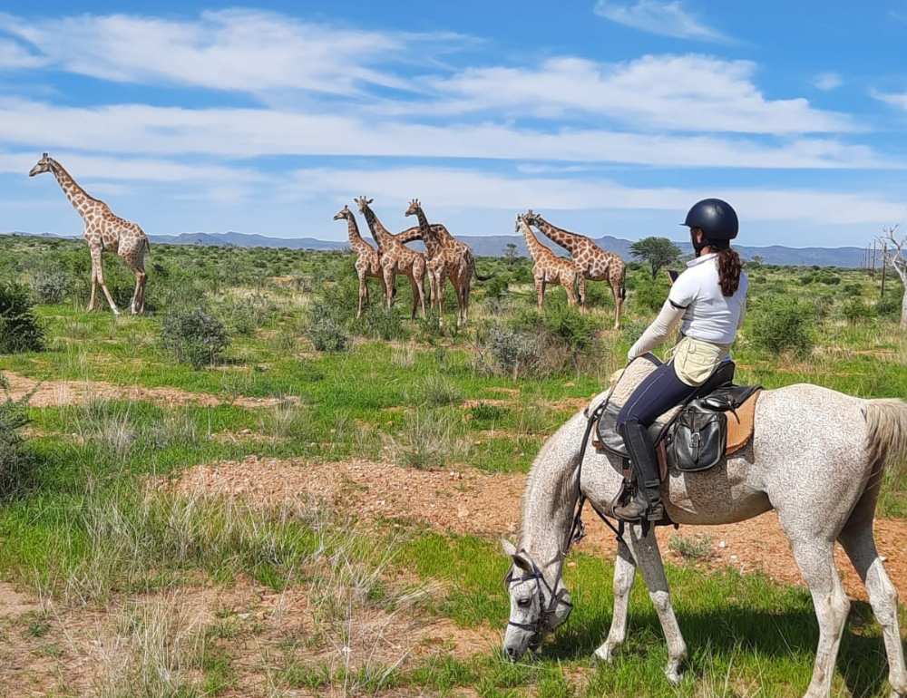 Safari à cheval en Namibie sur des pur-sang arabes