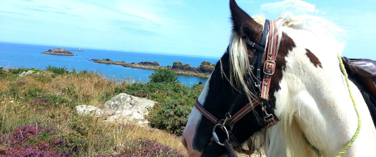 Séjour multi-disciplines à cheval pour les jeunes de 11/13 - 14/17 ans - Caval&go
