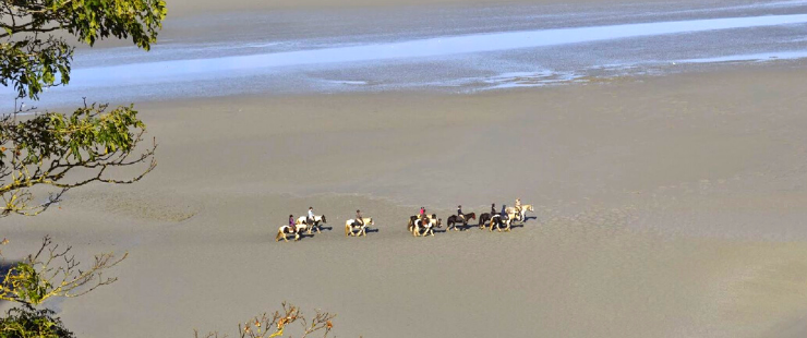 Randonnée équestre de Cancale au Mont-Saint-Michel - Caval&go