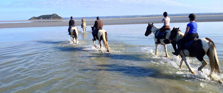 Randonnée à cheval au Mont-Saint-Michel - Adultes - Caval&go 