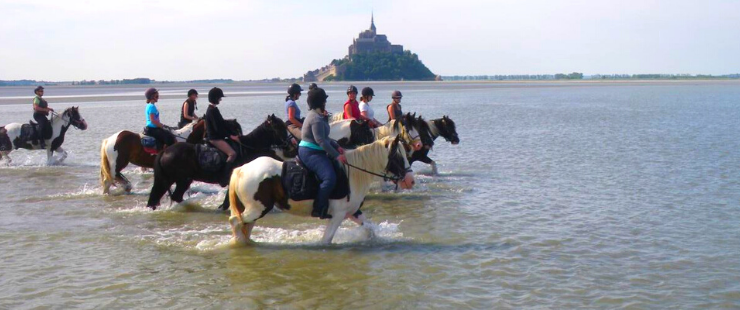 Randonnée à cheval au Mont-Saint-Michel - Adultes