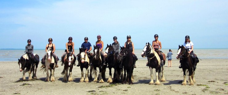 Randonnée à cheval au Mont-Saint-Michel - Adultes - Caval&go 