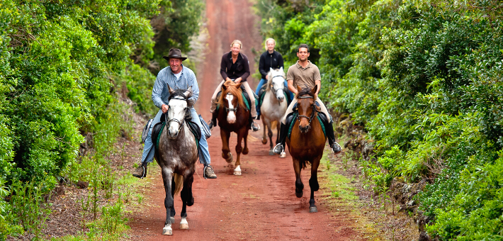 Randonnée à cheval itinérante sur l