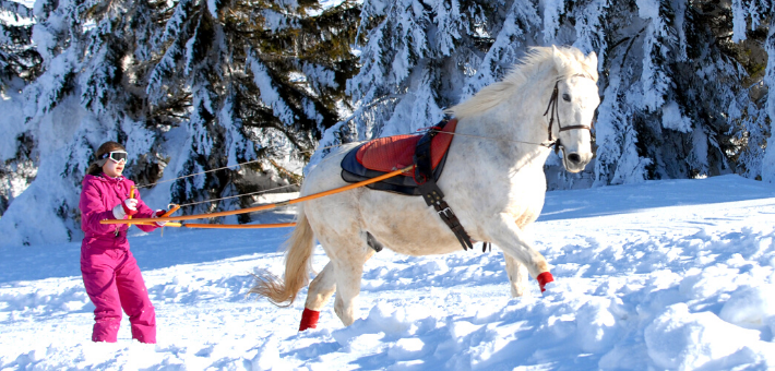 Équitation - ski joëring pour les jeunes de 11 à 17 ans dans le Vercors
