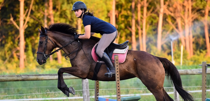 Stage de perfectionnement équestre sur les plages des Landes -  Caval&go