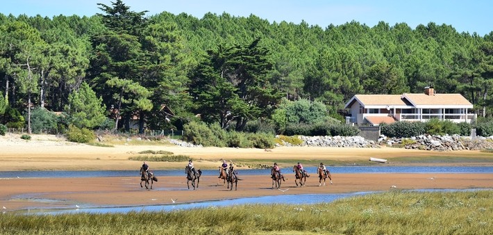 Stage de perfectionnement équestre sur les plages des Landes - Caval&go