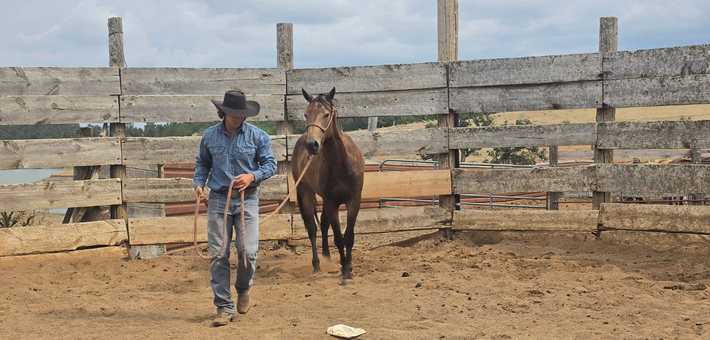 À la conquête du Far West : séjour en immersion chez les cow-boys du Wyoming - Caval&go