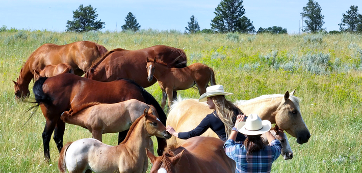 DÉPART EXCLUSIF EN PARTENARIAT AVEC CHEVAL MAGAZINE : Immersion cowboy au Wyoming - Caval&go