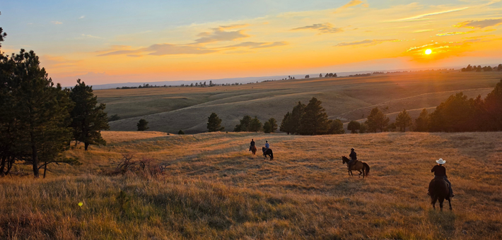 À la conquête du Far West : séjour en immersion chez les cow-boys du Wyoming - Caval&go