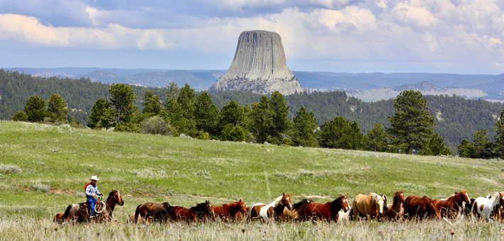 DÉPART EXCLUSIF EN PARTENARIAT AVEC CHEVAL MAGAZINE : Immersion cowboy au Wyoming - Caval&go