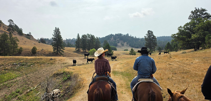 À la conquête du Far West : séjour en immersion chez les cow-boys du Wyoming - Caval&go