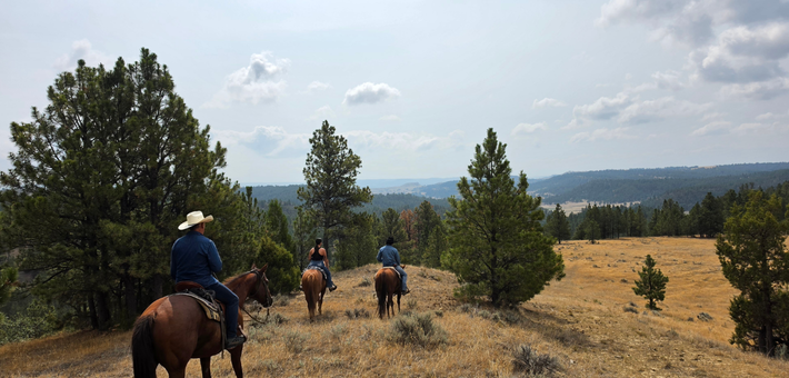 À la conquête du Far West : séjour en immersion chez les cow-boys du Wyoming - Caval&go