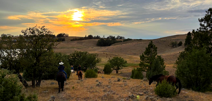 DÉPART EXCLUSIF EN PARTENARIAT AVEC CHEVAL MAGAZINE : Immersion cowboy au Wyoming - Caval&go