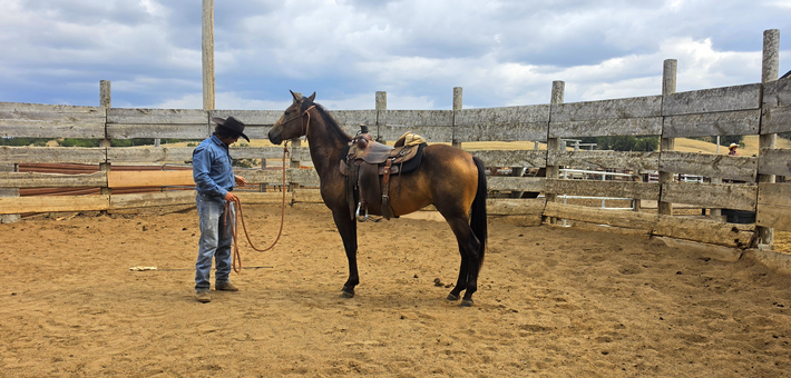 DÉPART EXCLUSIF EN PARTENARIAT AVEC CHEVAL MAGAZINE : Immersion cowboy au Wyoming - Caval&go