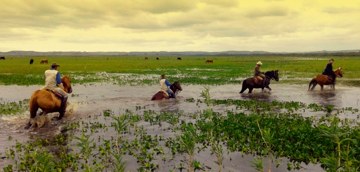 Chevauchée uruguayenne et immersion chez les gauchos - Caval&go