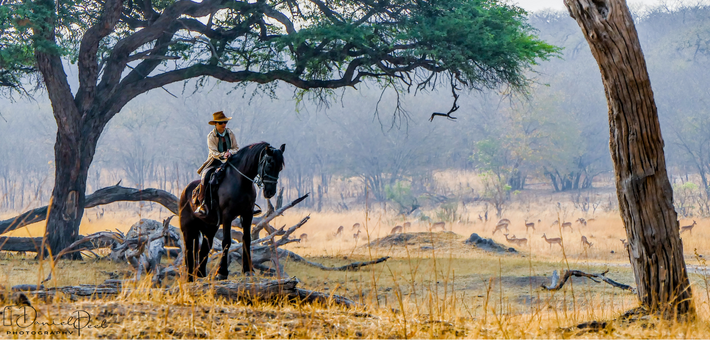 Safari exploration du Hwange National Park au Zimbabwe - Caval&go